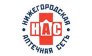 НИЖЕГОРОДСКАЯ АПТЕЧНАЯ СЕТЬ