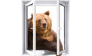 ОКНА ВЕЛЕС62RUS