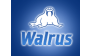 Walrus