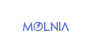 Molnia Electronics