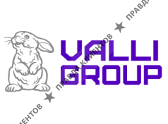 Valli Group