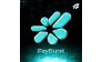 PayBurst