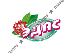 ЭДАС