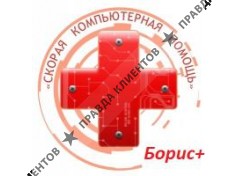 БОРИС+