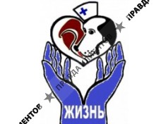 ЖИЗНЬ