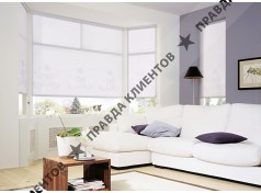 Зашторркой