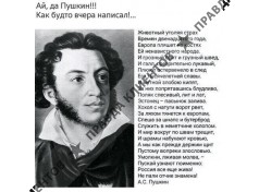 Грузчики Воронежа