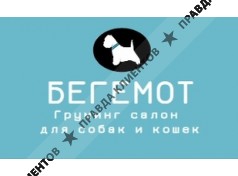 Груминг салон Бегемот