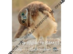Виплте.ру