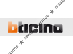 BTicino — крупная итальянская компания