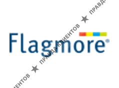 Flagshtok