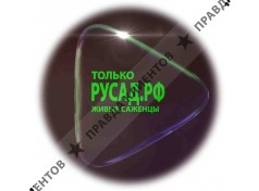 РУСАД.РФ
