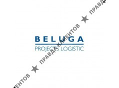 Beluga Projects Logistic