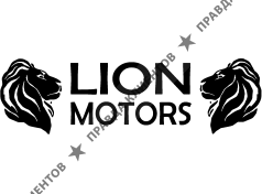 Lion Motors