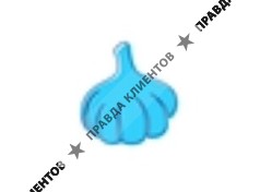 Лобовое стекло - 78