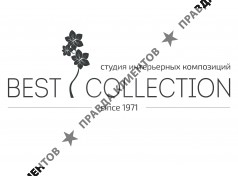 Best Collection