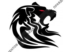 Ремонтник. Ремонт ноутбуков и компьютеров в Стерлитамаке. Установка Windows Стерлитамак.