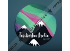 Terebirka Arctic