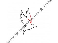 Партнер Кострома