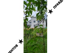 АНО «СРЦ «ИНТЕГРАЦИЯ»