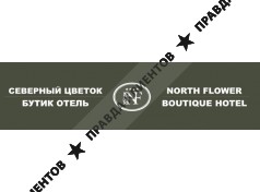 Северный цветок