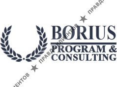 Borius Program & Consulting