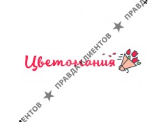 «Цветомания»