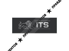 LLC "ITS GROUP"
