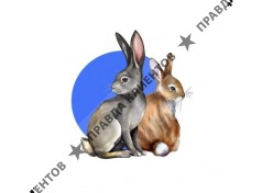 Коррекционный Логопедический Сад Шепот развития