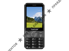 Мобильный телефон Xenium X800