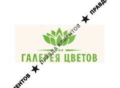 Галерея цветов